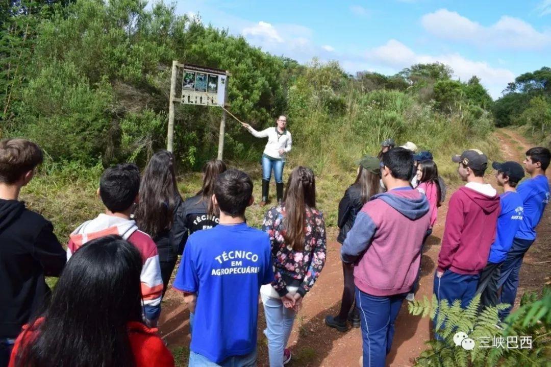 2019041210054359871 2019041210054359871